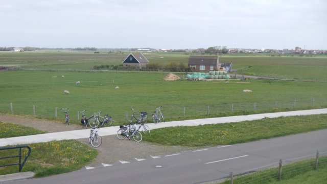 HWK Texel 2015 041.jpg
